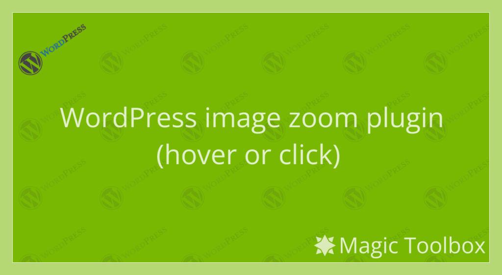 Best Zoom WordPress Plugin: Ultimate Guide & Reviews 2024